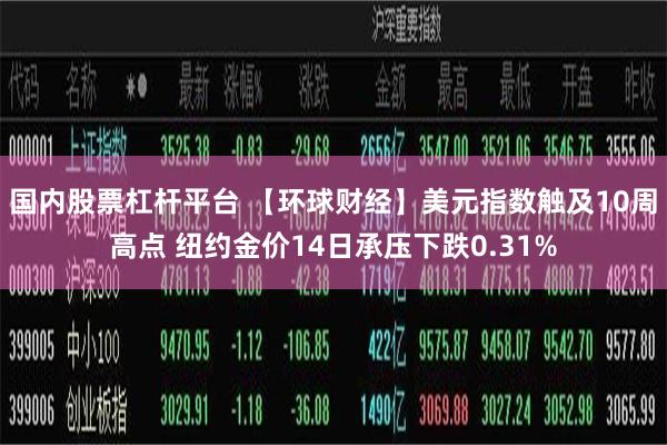 国内股票杠杆平台 【环球财经】美元指数触及10周高点 纽约金价14日承压下跌0.31%