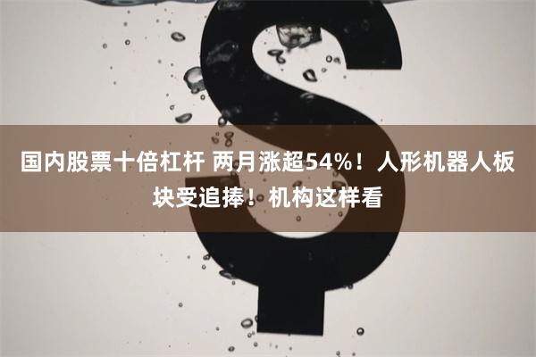 国内股票十倍杠杆 两月涨超54%！人形机器人板块受追捧！机构这样看