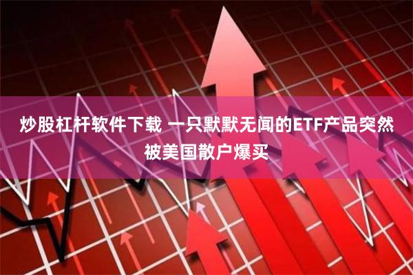 炒股杠杆软件下载 一只默默无闻的ETF产品突然被美国散户爆买