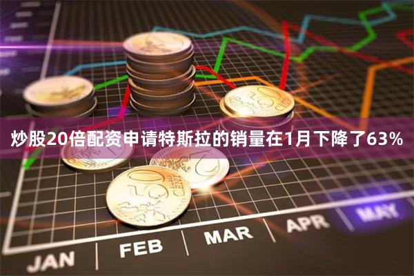 炒股20倍配资申请特斯拉的销量在1月下降了63%