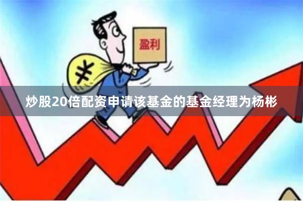 炒股20倍配资申请该基金的基金经理为杨彬